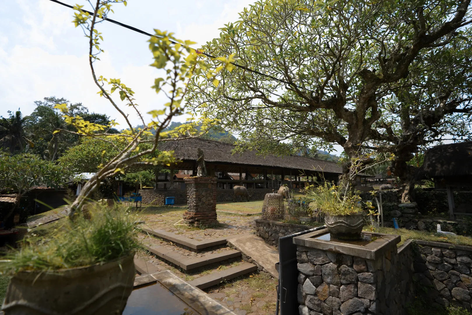 Tenganan Village  Tour images